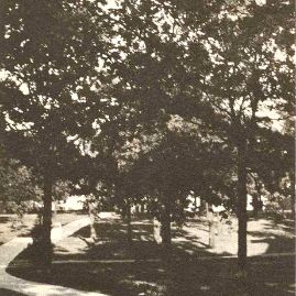 Library and Science NTSN